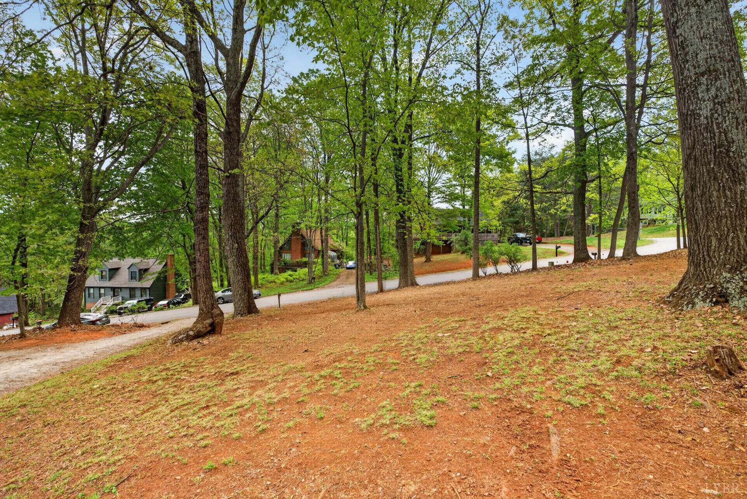 107 Fox Hollow Road Lynchburg, VA 24503 - Photo 37 of 57