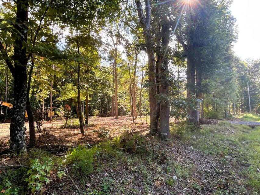 3 Pleasant Hill Road Ten Mile, TN 37880 - Photo 6 of 14 Tract 3 PH