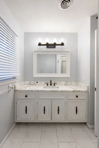 a view of a forest with trees in the background