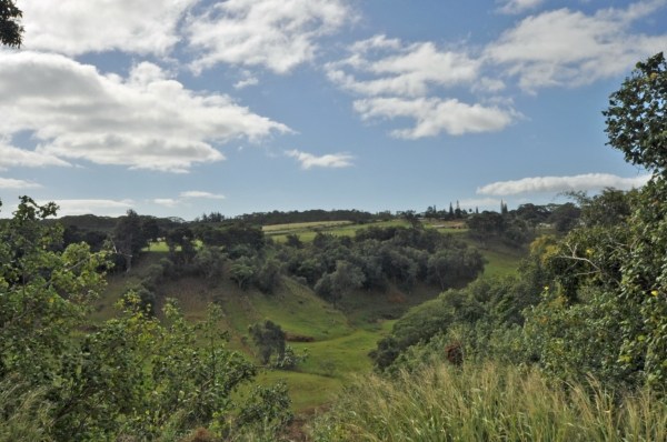4041 Omao Road, Unit 2 Koloa, HI 96756 - Photo 1 of 1 Gallery Image 1