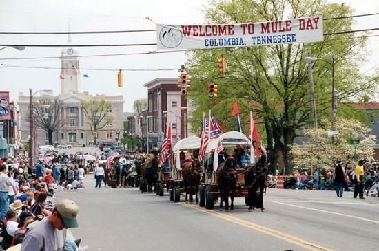 311 West 13th Street Columbia, TN 38401 - Photo 36 of 47 a view of a street with cars