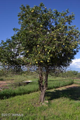 6895 North Frontier Road McNeal, AZ 85617 - Photo 35 of 36 Gallery Image 35