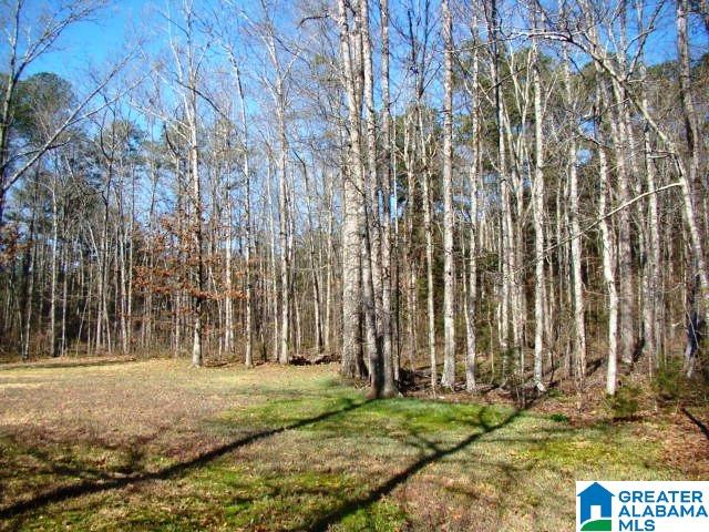 559 Holland-Finley Road Jacksonville, AL 36265 - Photo 8 of 37