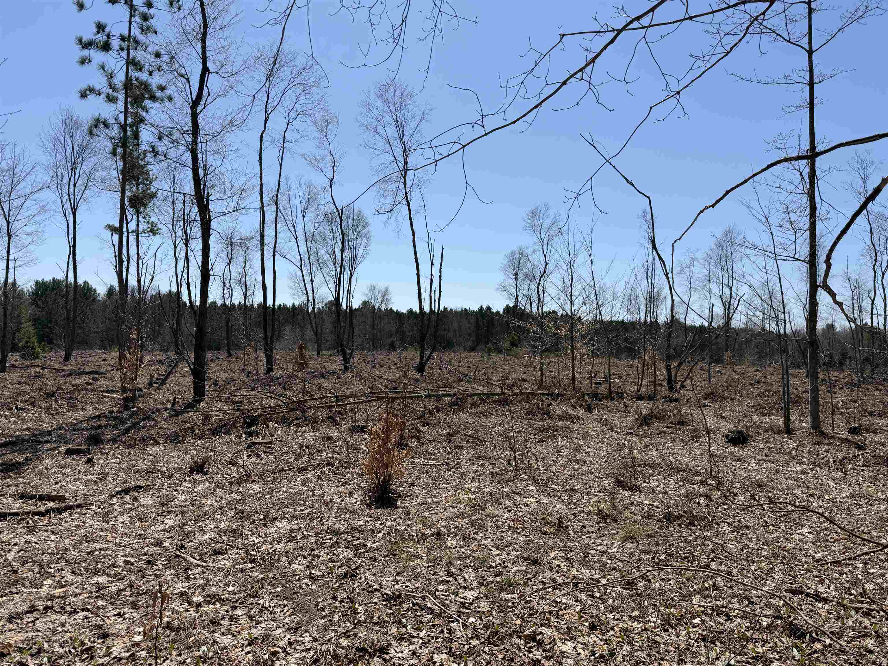 0 Landis Road Thompsonville, MI 49683 - Photo 14 of 26