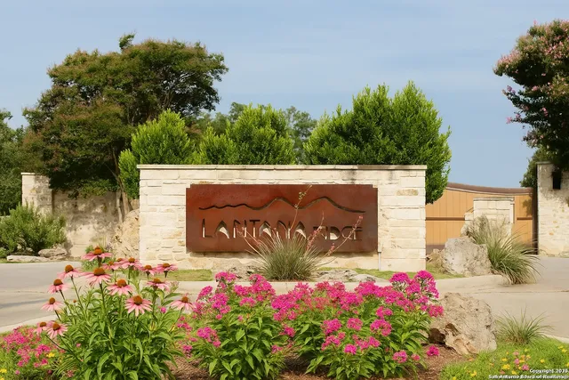 a view of a lush green space