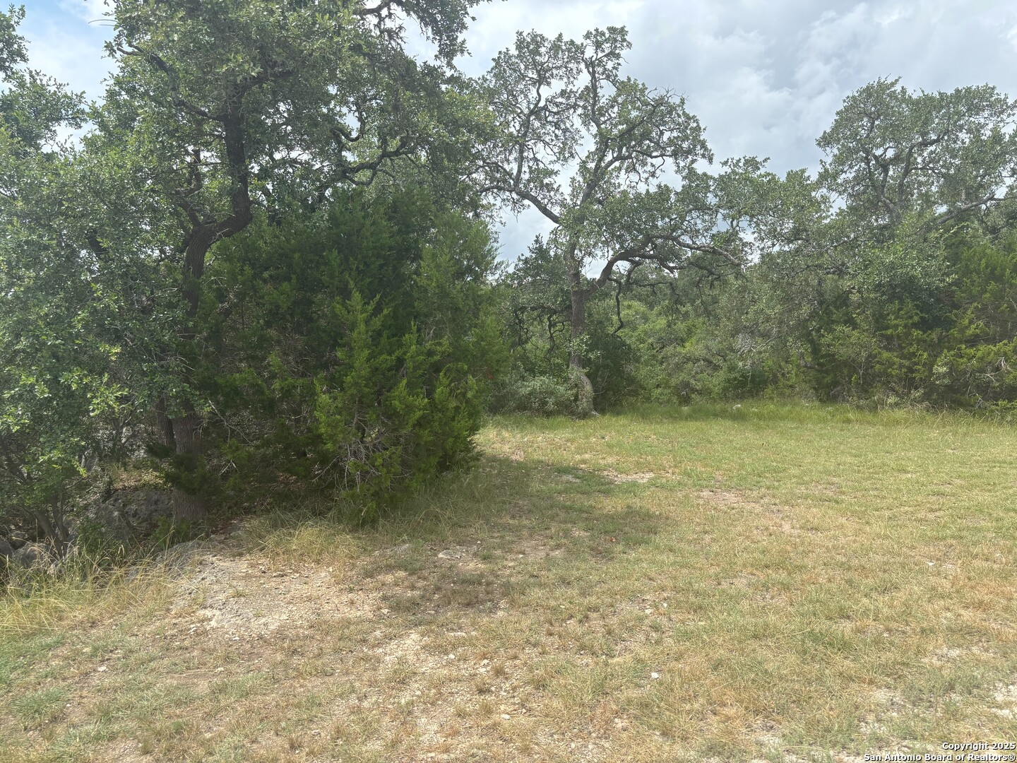 606 Lantana Mesa Spring Branch, TX 78070 - Photo 6 of 10 a view of a yard with a tree
