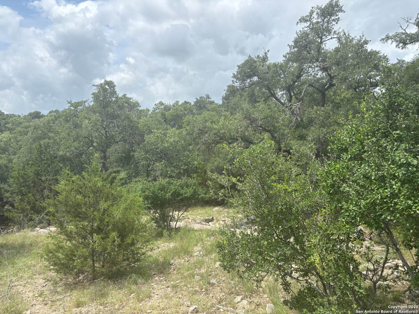 606 Lantana Mesa Spring Branch, TX 78070 - Photo 7 of 10 a view of a yard with a tree