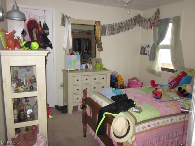 6738 Berry Road Ravenna, OH 44266 - Photo 18 of 23 Gallery Image 18