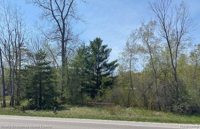 0 Range Road Smiths Creek, MI 48074 - Photo 4 of 4