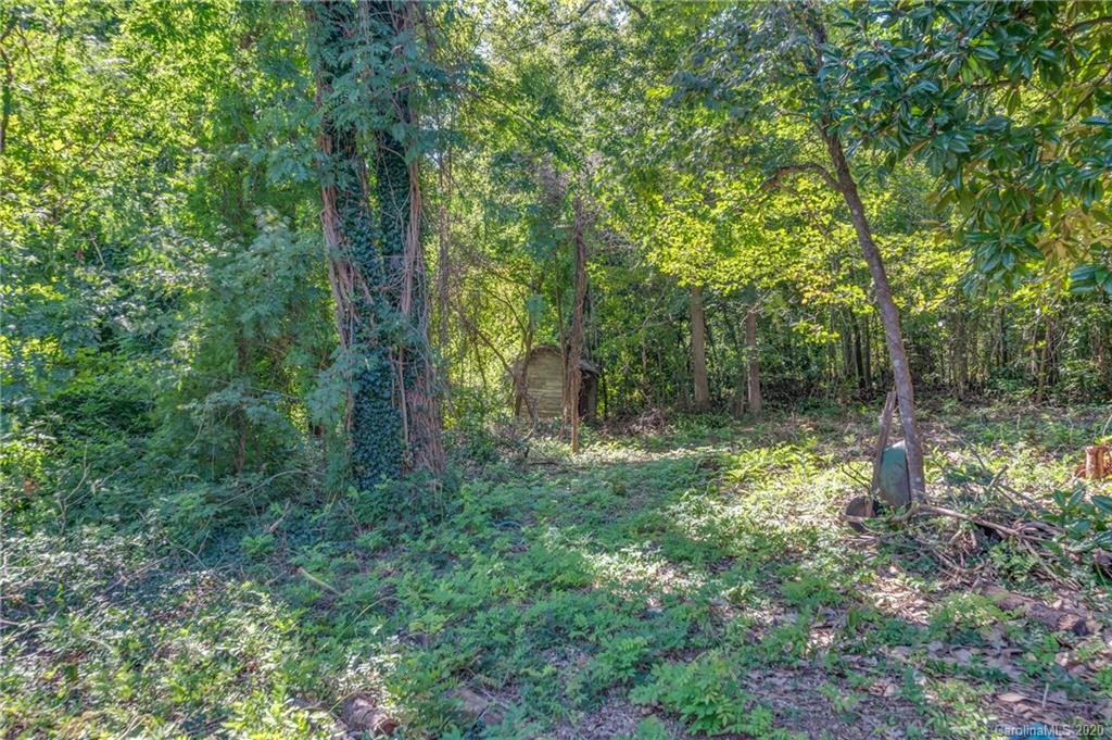 190 South Ridgecrest Street Rutherfordton, NC 28139 - Photo 7 of 26 a view of a forest with trees