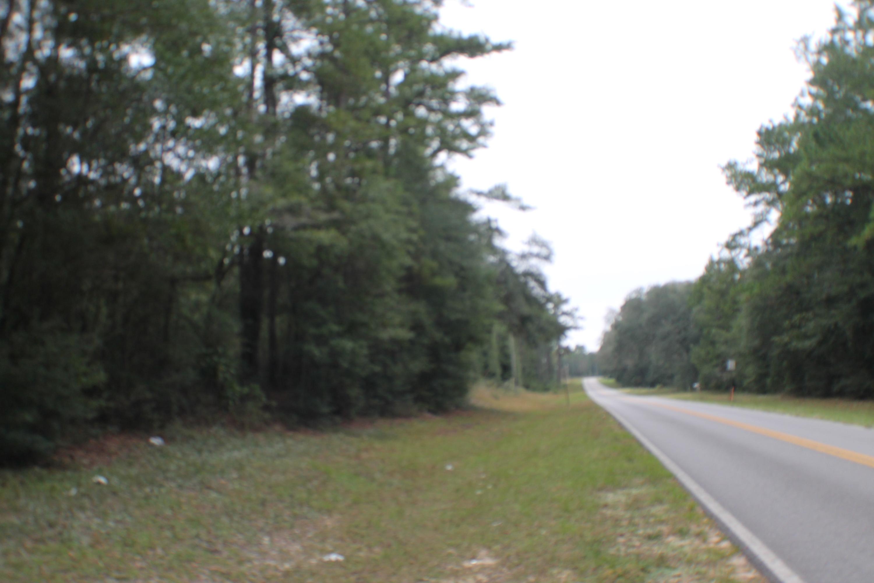 2.61-ac Old River Road Baker, FL 32531 - Photo 3 of 8 a view of a forest