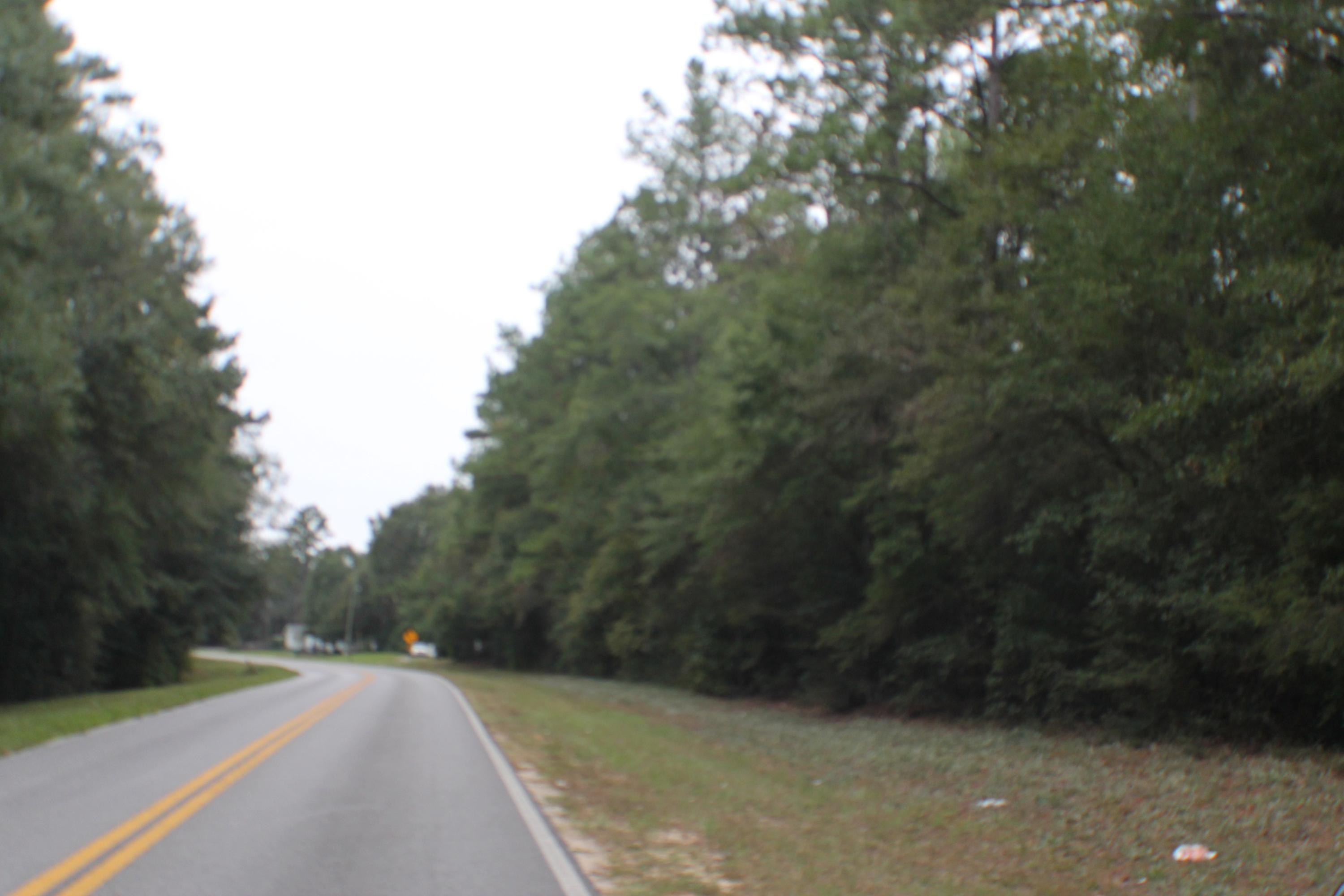 2.61-ac Old River Road Baker, FL 32531 - Photo 4 of 8 a view of a street