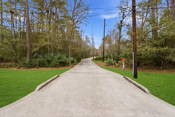 a view of a park with large trees