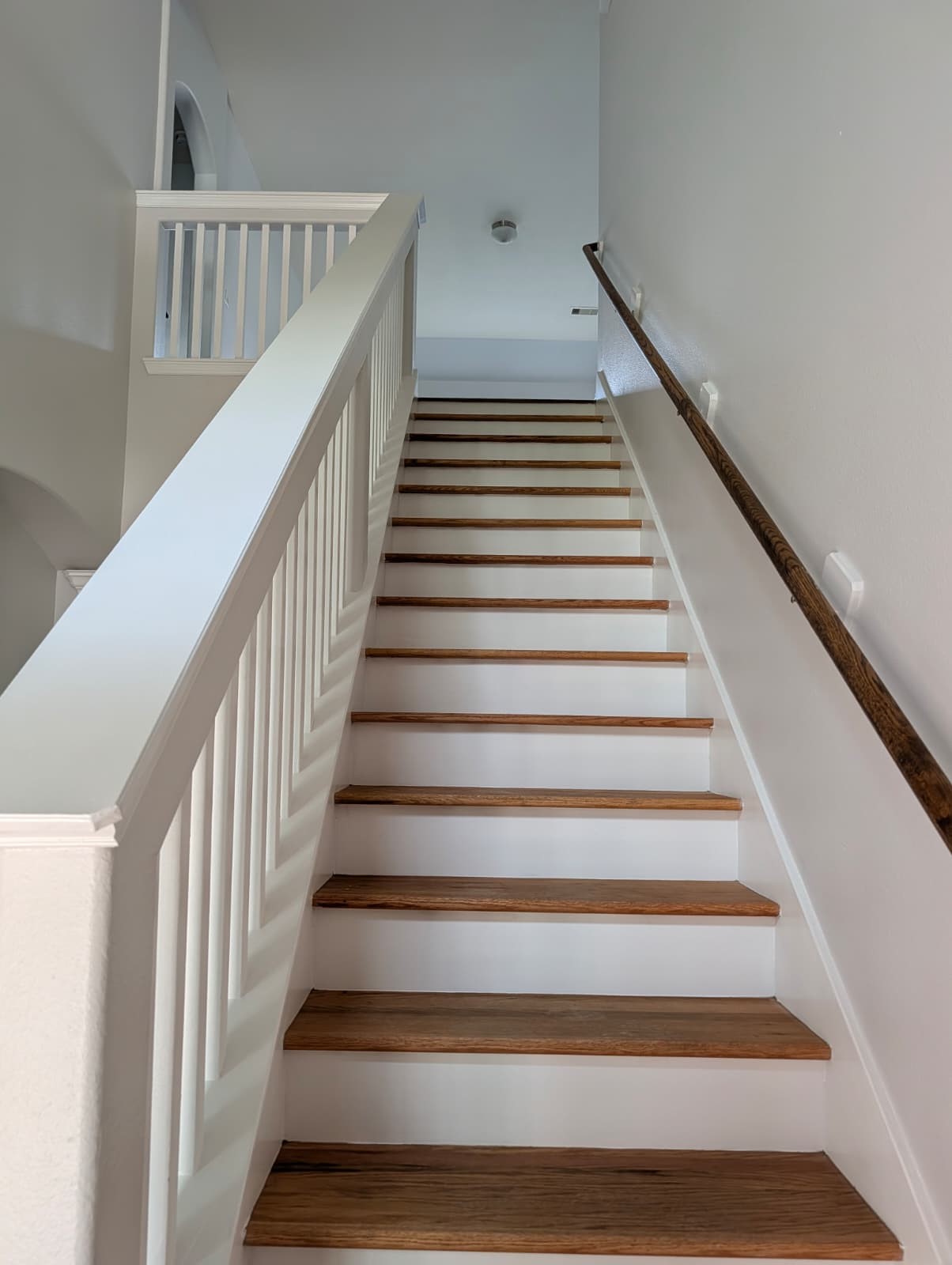 25614 Crisp Spring Lane Spring, TX 77373 - Photo 34 of 43