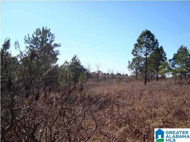 29 Highway Ac Al, Unit 33 Oneonta, AL 35121 - Photo 8 of 23