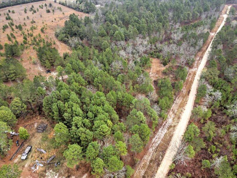 112 Kings Way Monetta, SC 29105 - Photo 5 of 14 a view of a forest with a street