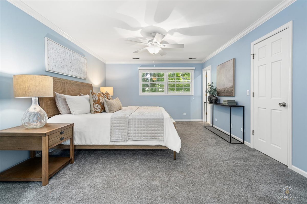 1347 Deep Run Road Naperville, IL 60540 - Photo 22 of 38