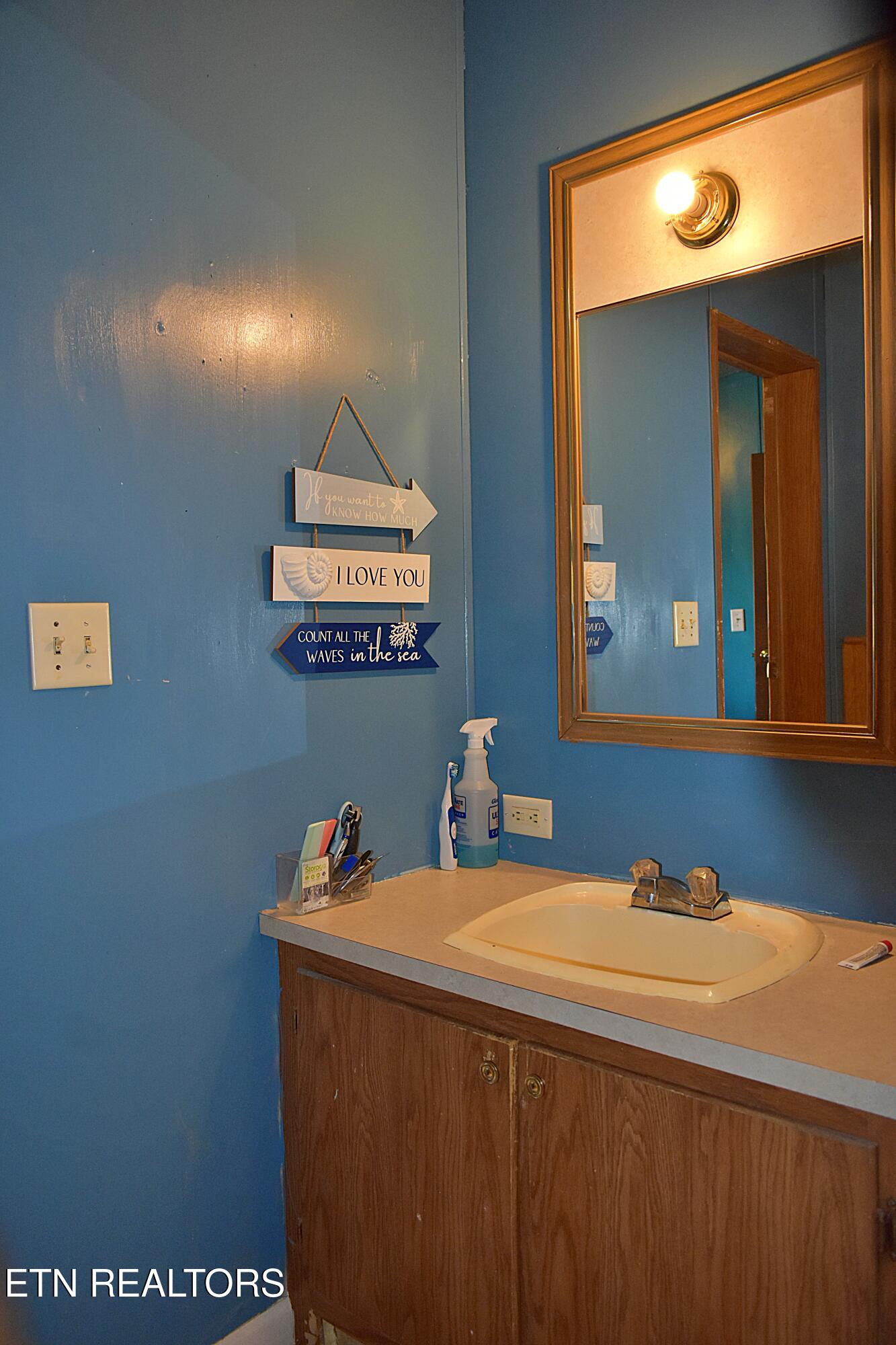 223 Beamer Road Tazewell, TN 37879 - Photo 11 of 26 Master Bath
