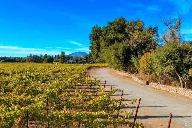 $28,000,000 | Undisclosed Address, Calistoga, CA 94515