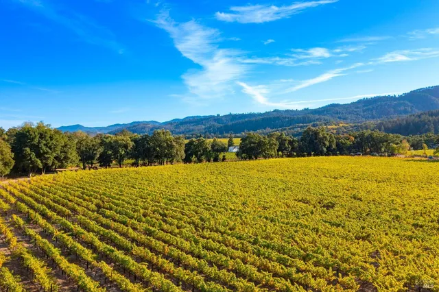 $28,000,000 | Undisclosed Address, Calistoga, CA 94515