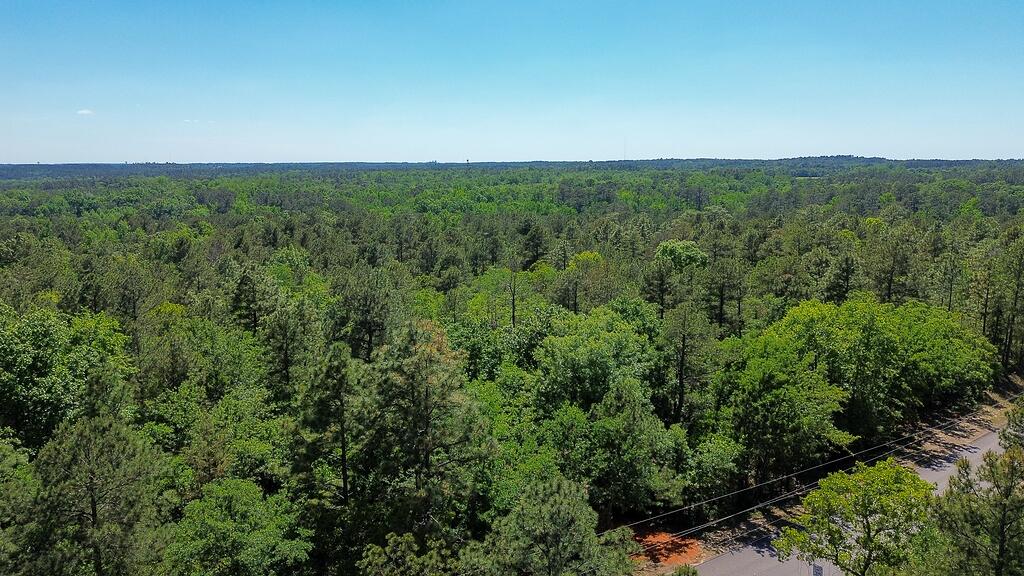 0 Mt Zion Road, Unit 5 Trenton, SC 29847 - Photo 1 of 26