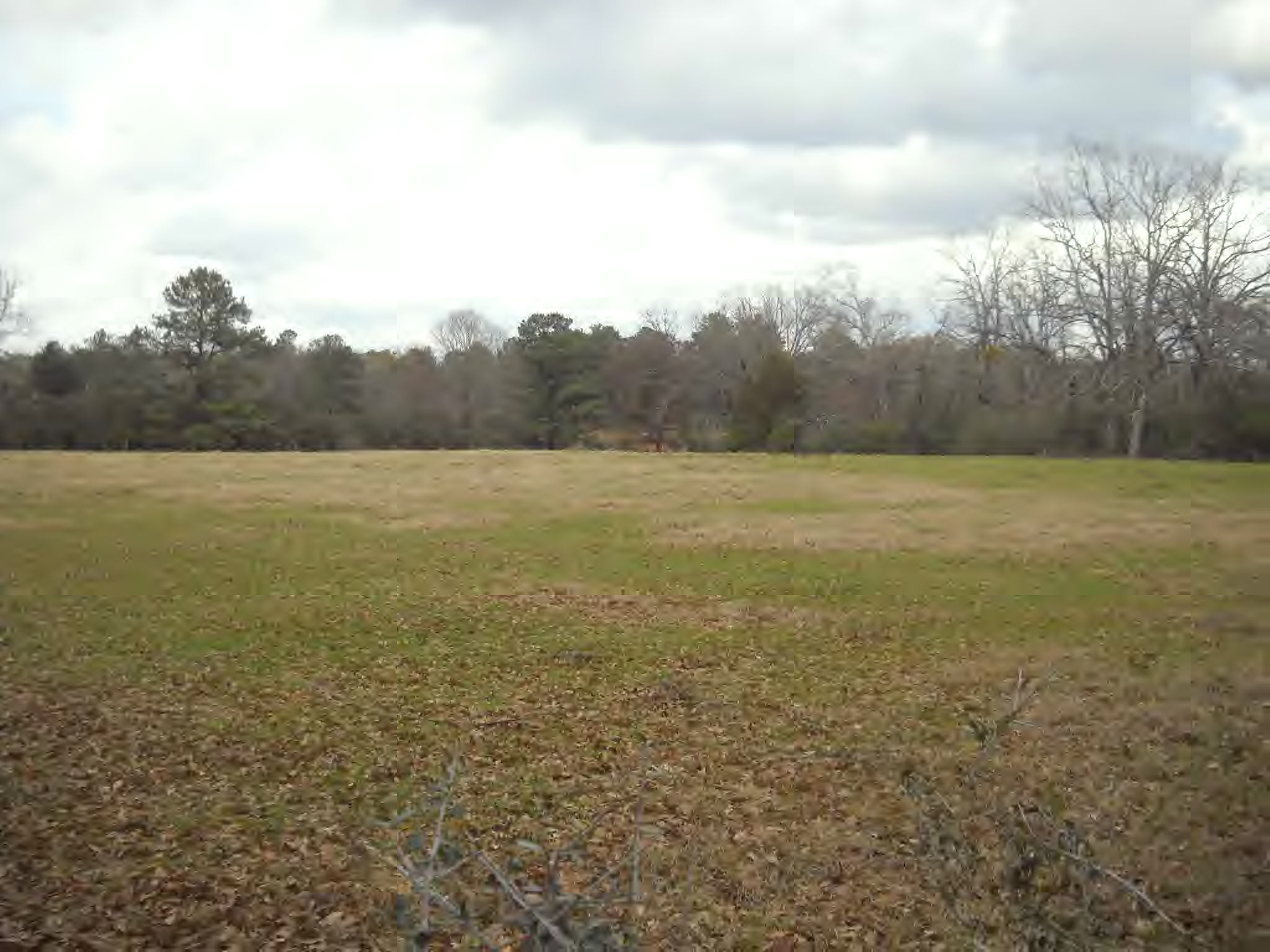 150 Jayess Road Tylertown, MS 39667 - Photo 3 of 13 Additional View 2