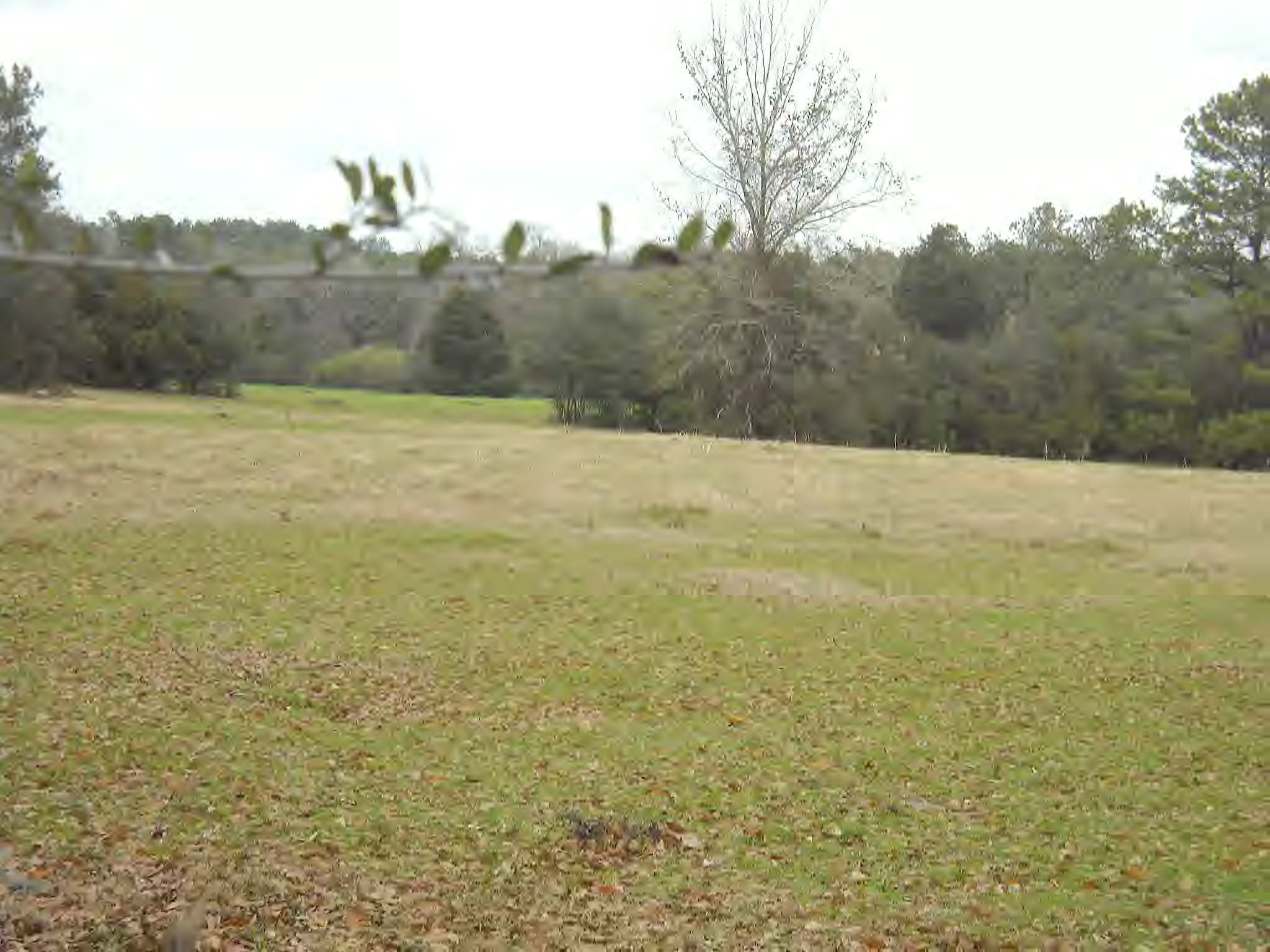 150 Jayess Road Tylertown, MS 39667 - Photo 5 of 13 Additional View 4