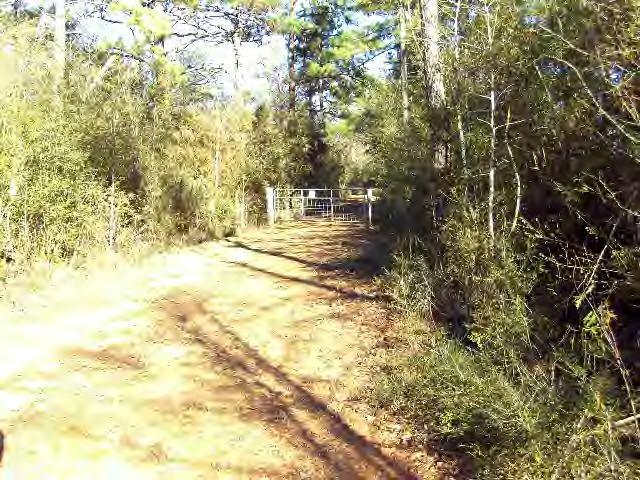 150 Jayess Road Tylertown, MS 39667 - Photo 7 of 13 Additional View 6