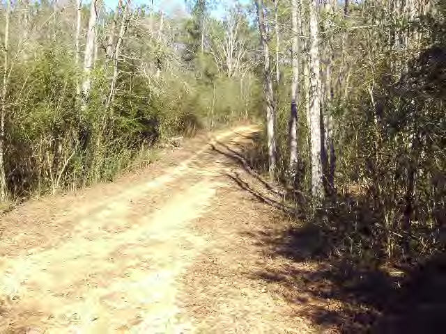 150 Jayess Road Tylertown, MS 39667 - Photo 9 of 13 Additional View 8