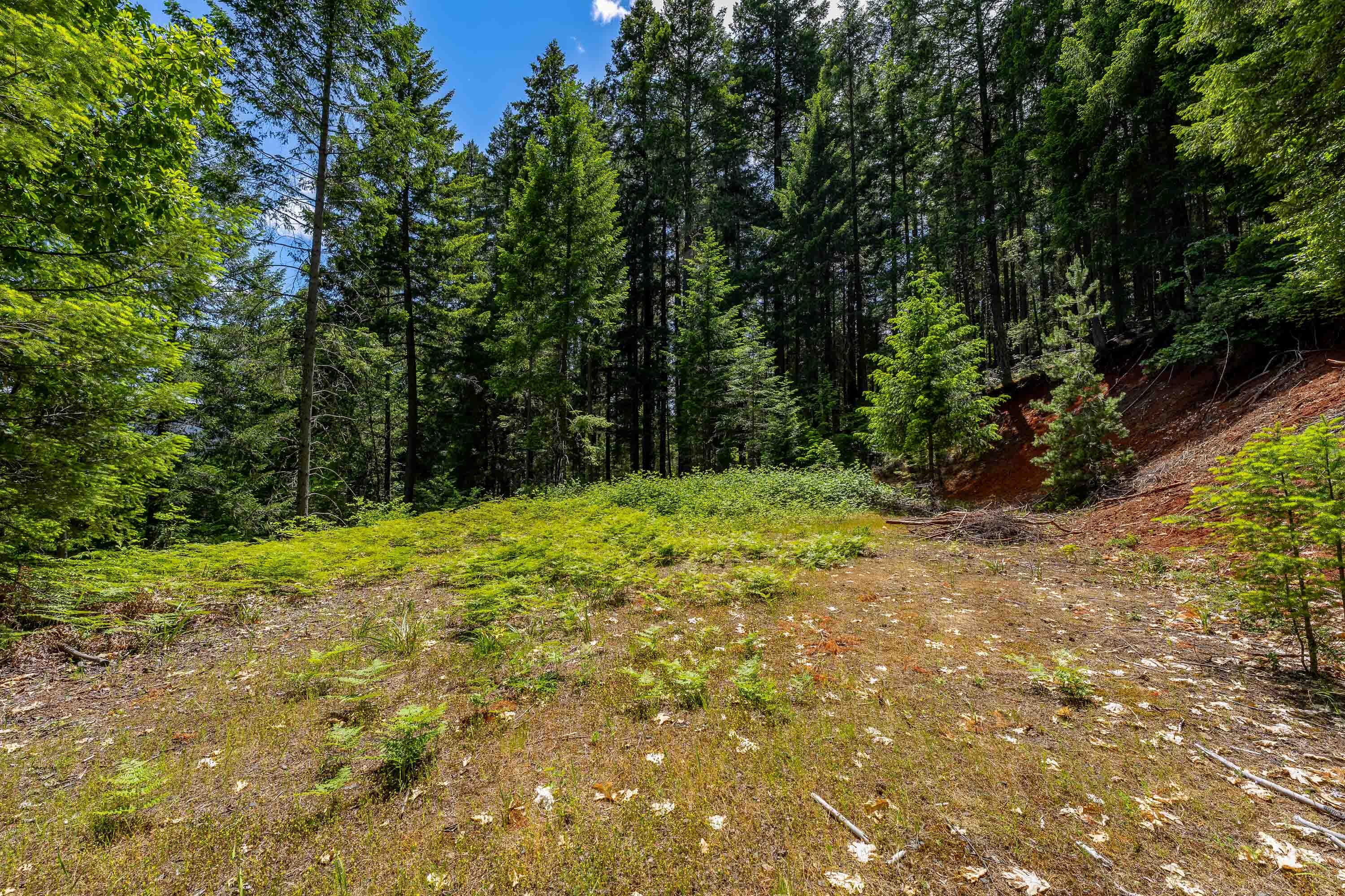 525 Sherier Road Cave Junction, OR 97523 - Photo 7 of 20 EXT (2 of 8)