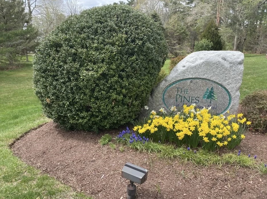 9 Hathaway Pond Circle, Unit 9 Rochester, MA 02770 - Photo 29 of 38 a backyard of a house with lots of green space