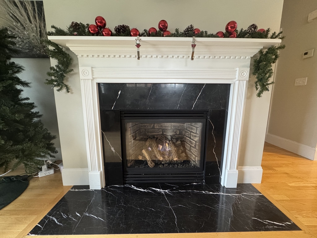 9 Hathaway Pond Circle, Unit 9 Rochester, MA 02770 - Photo 35 of 38 a living room with a fireplace and a potted plant