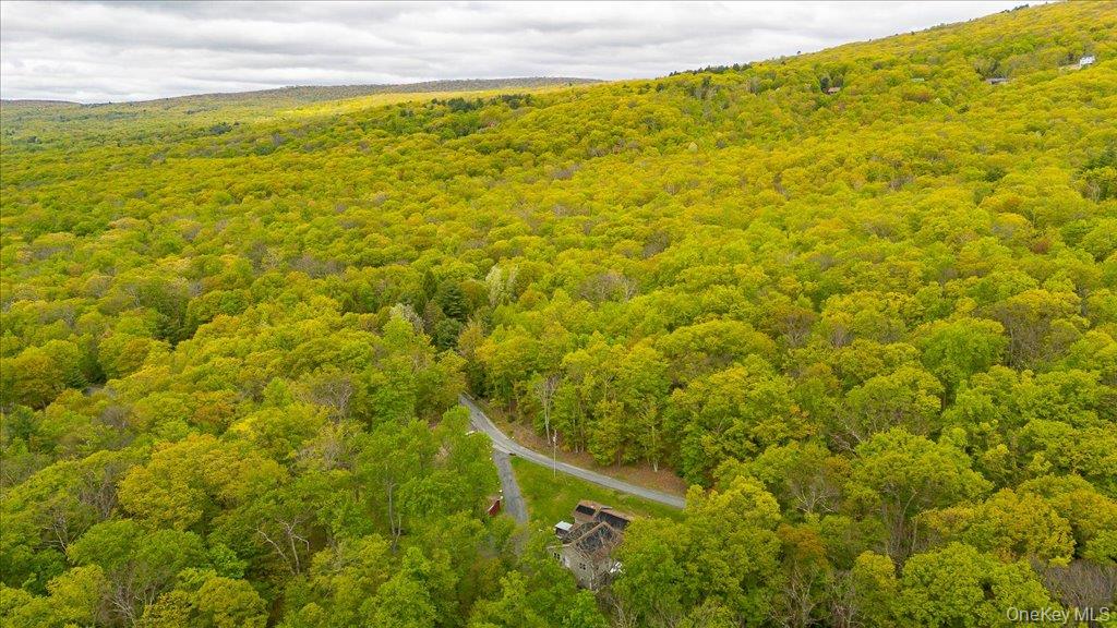 80 Jones Road Pine Bush, NY 12566 - Photo 38 of 44