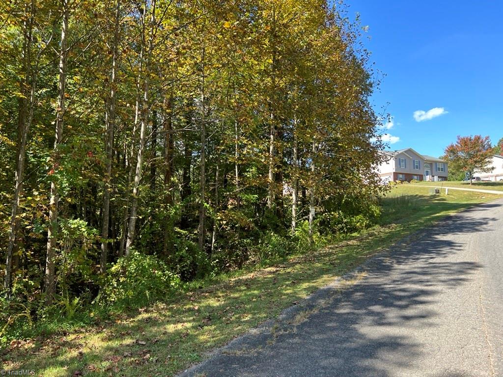 0 Jill Farm Road, Unit 2 33 Mount Airy, NC 27030 - Photo 2 of 6 Gallery Image 2
