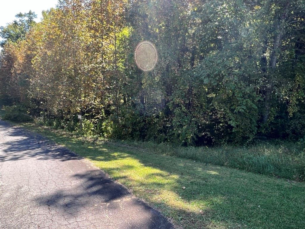 0 Jill Farm Road, Unit 2 33 Mount Airy, NC 27030 - Photo 3 of 6 Gallery Image 3