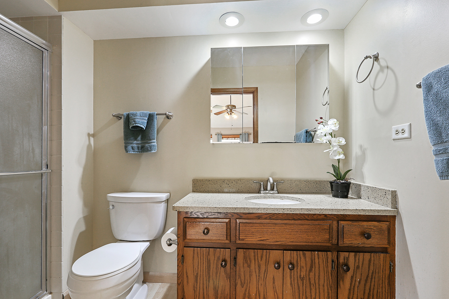 3582 Ronald Road Crete, IL 60417 - Photo 9 of 16 a bathroom with a toilet a sink and mirror