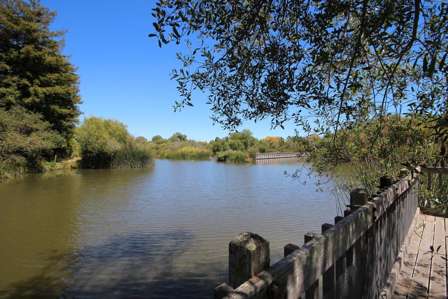 103 Shelter Lagoon Drive Santa Cruz, CA 95060 - Photo 31 of 39 a view of lake and mountain