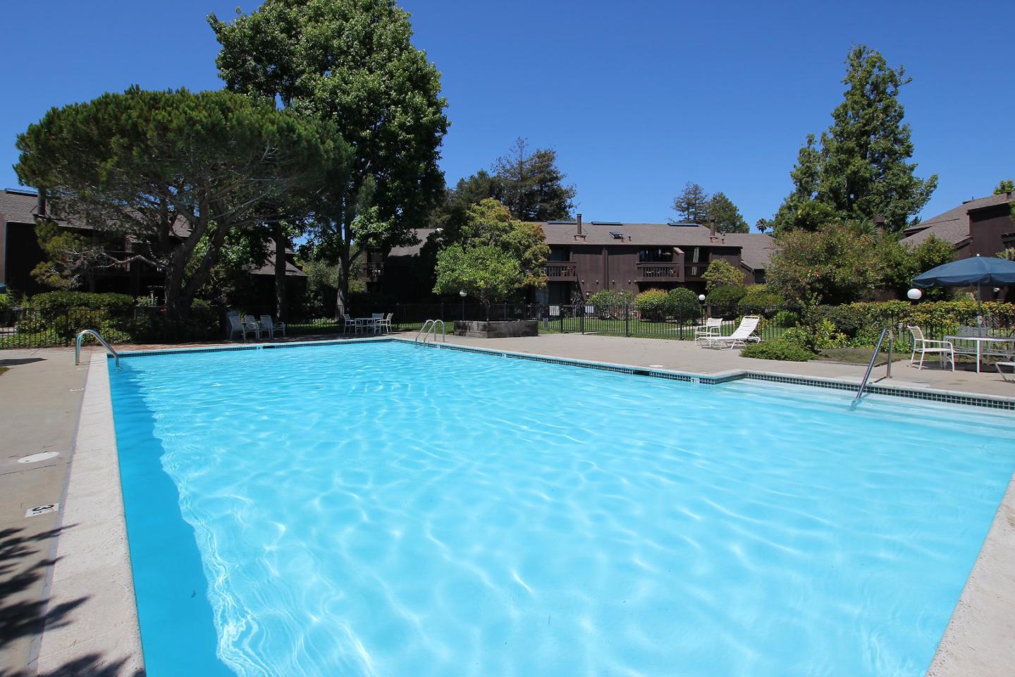 103 Shelter Lagoon Drive Santa Cruz, CA 95060 - Photo 35 of 39 a view of patio with table and chairs potted plants and large tree