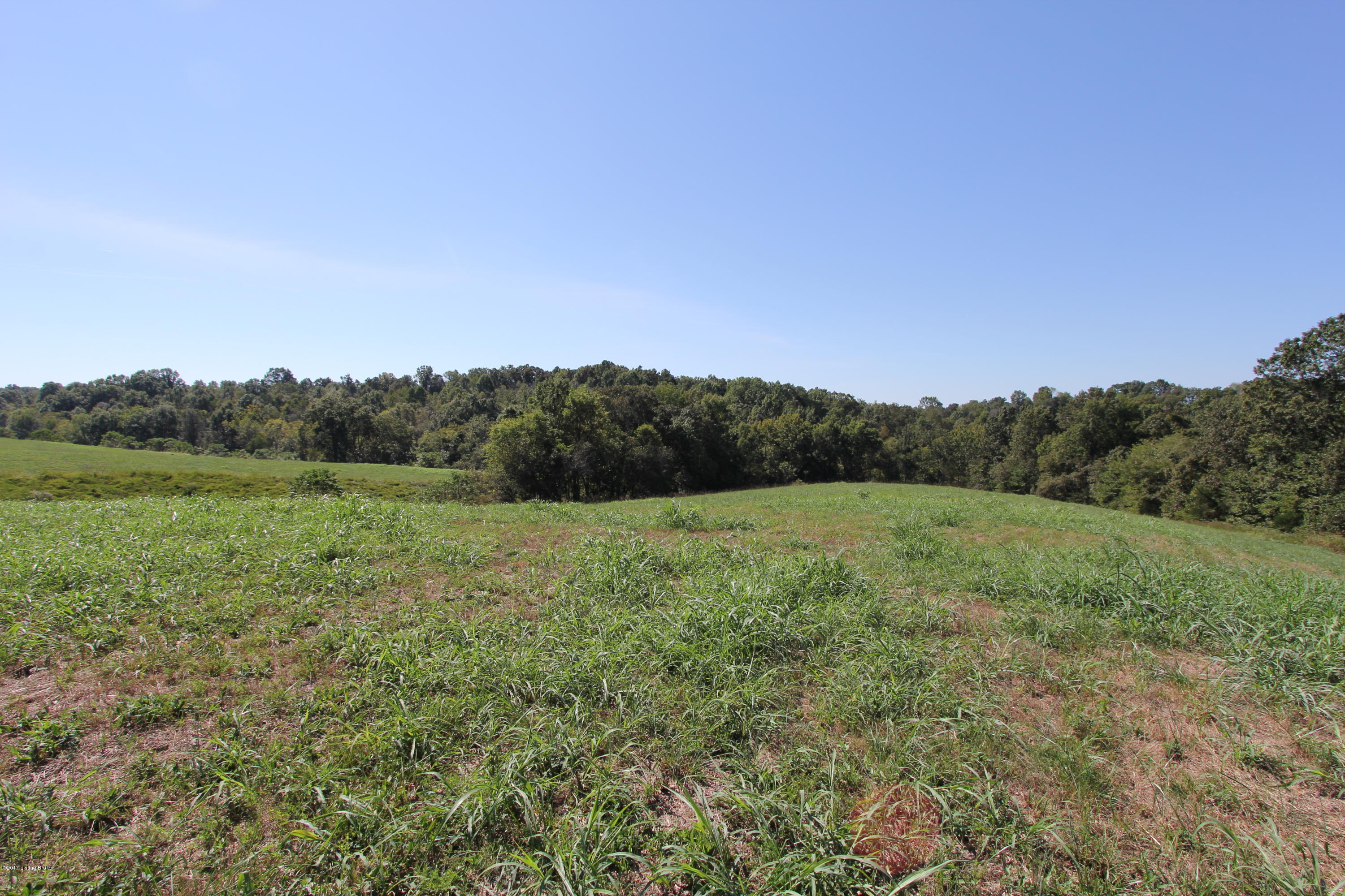 1500 Aaron Barnett Road Lawrenceburg, KY 40342 - Photo 29 of 39 IMG_8021