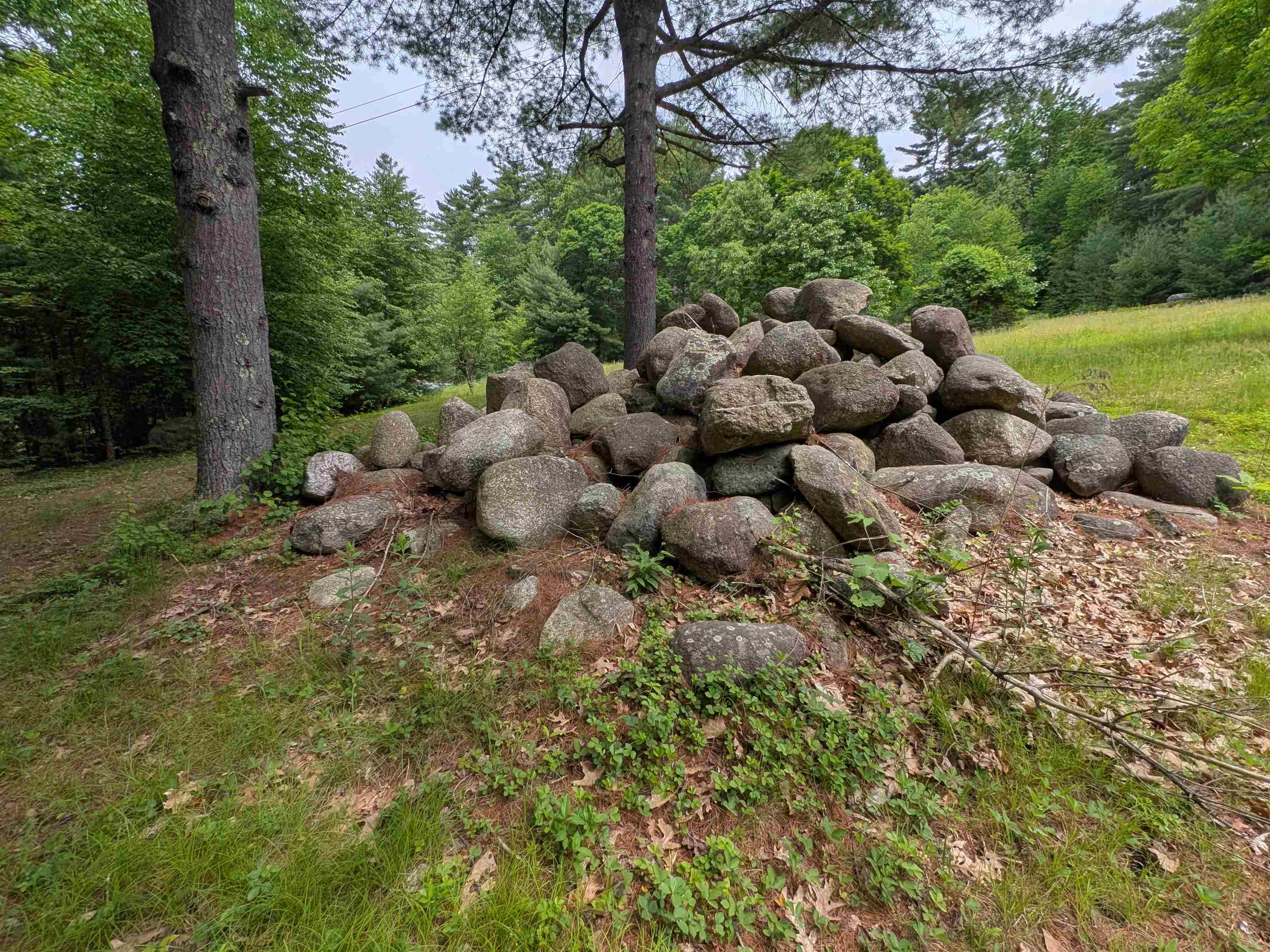 258 Bolton Road Winchester, NH 03470 - Photo 14 of 18
