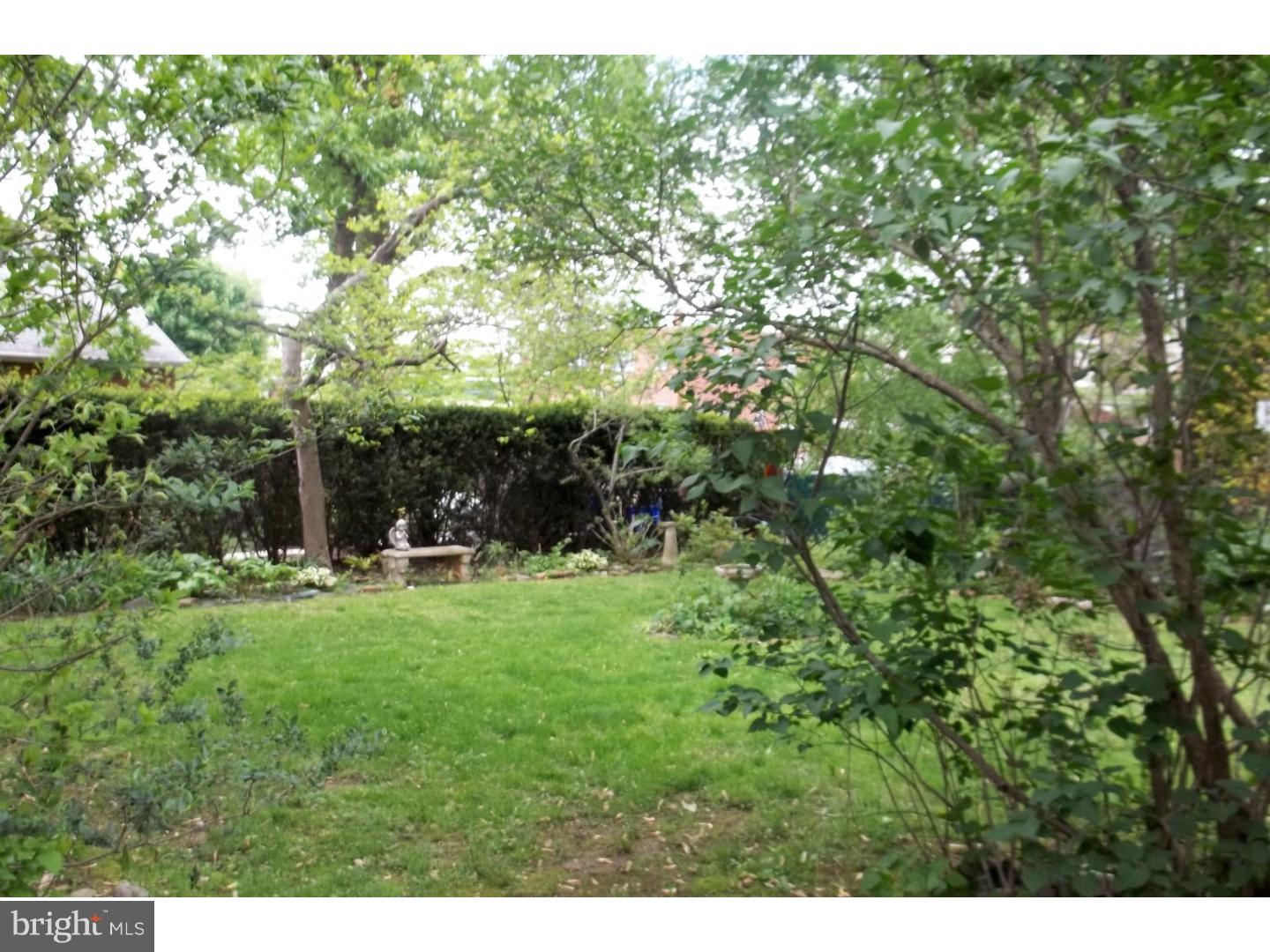 7940 Verree Road Philadelphia, PA 19111 - Photo 6 of 25 Back Yard