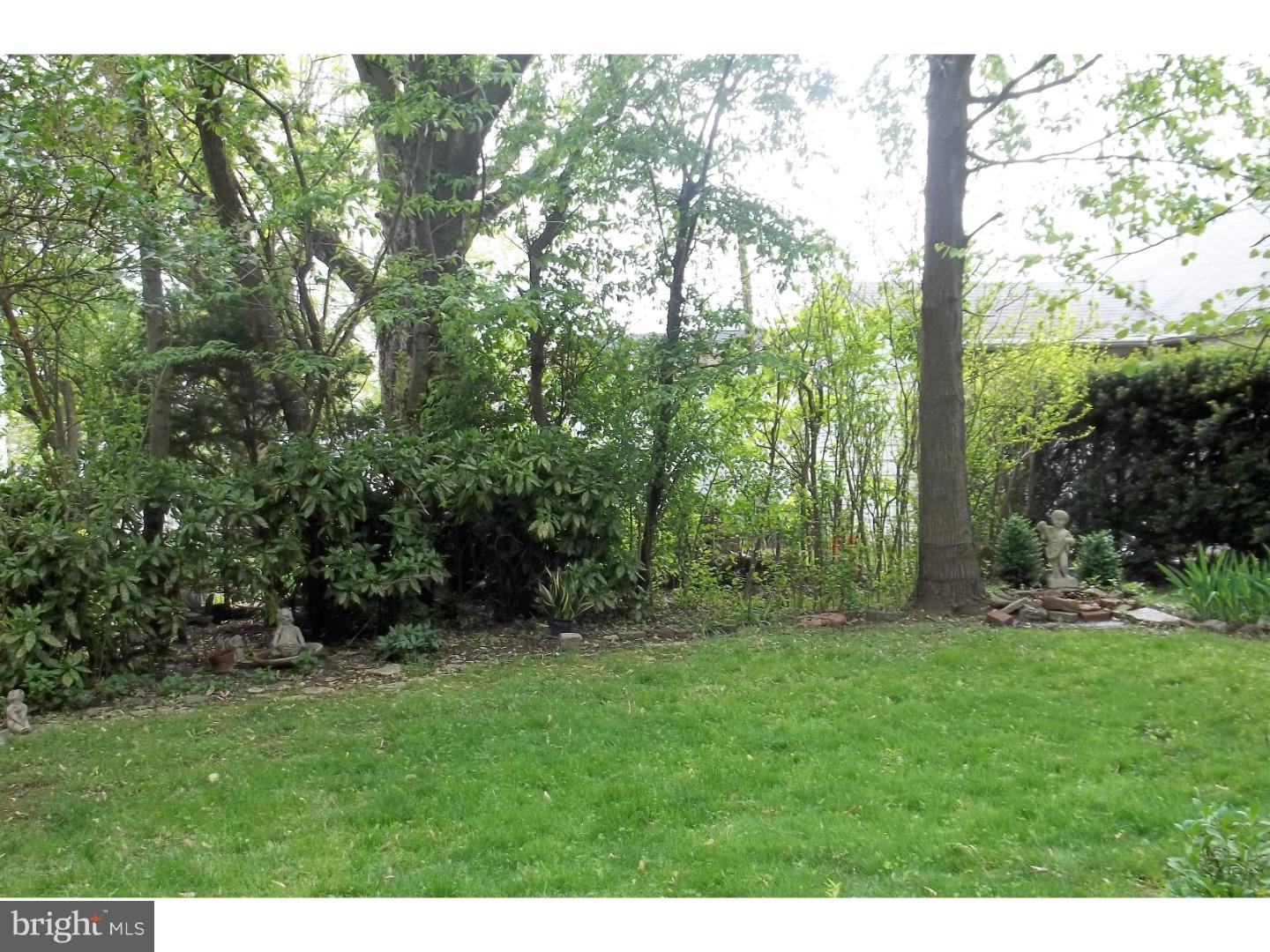 7940 Verree Road Philadelphia, PA 19111 - Photo 7 of 25 Back Yard