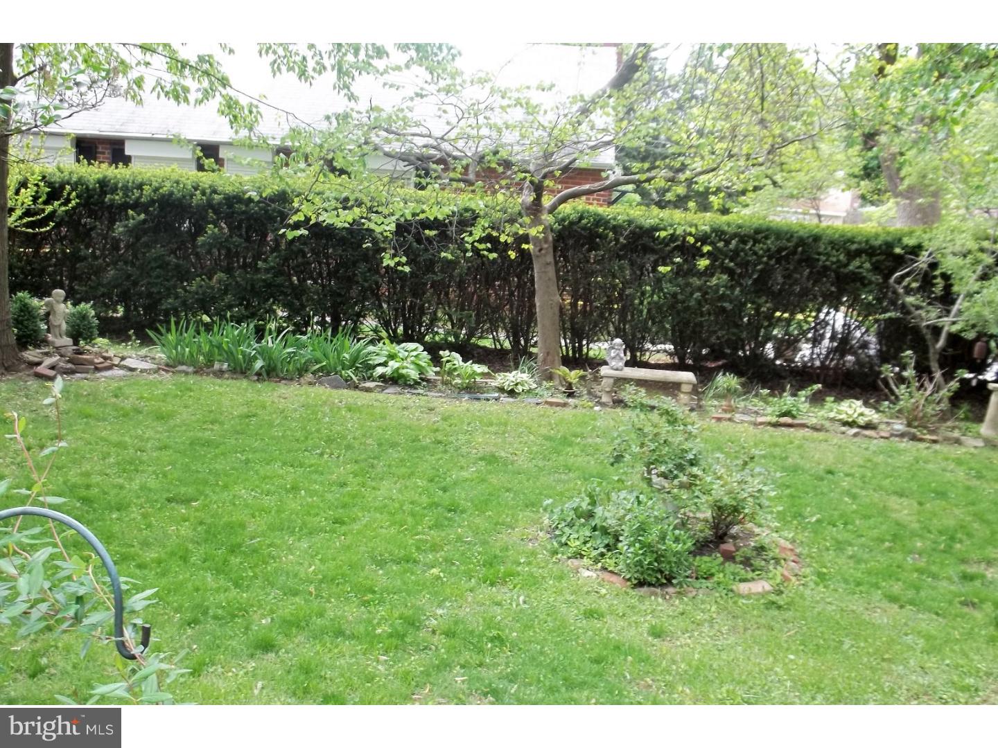 7940 Verree Road Philadelphia, PA 19111 - Photo 8 of 25 Back Yard