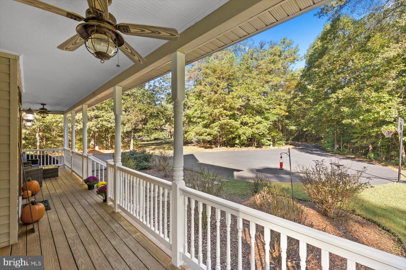 22617 Telegraph Road Ruther Glen, VA 22546 - Photo 5 of 46