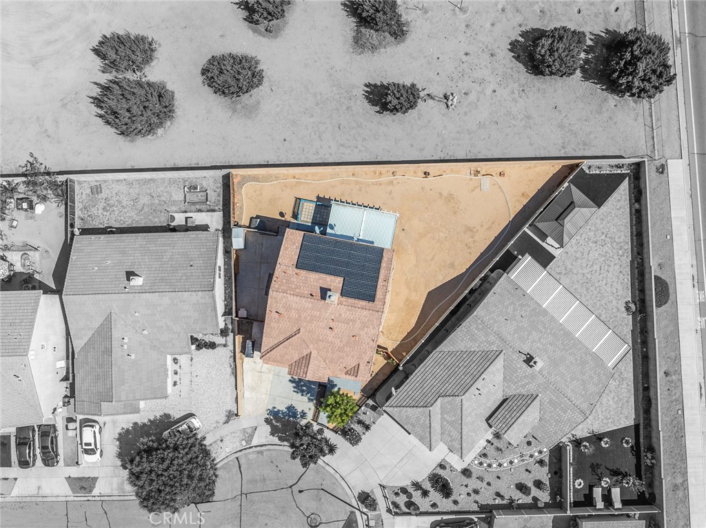 8923 Azalea Springs Road Oak Hills, CA 92344 - Photo 6 of 46 Pool Size Back Yard