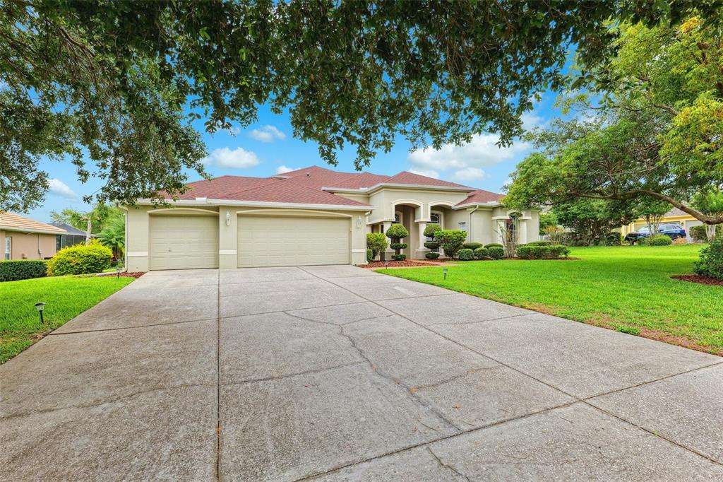 13049 Thoroughbred Drive Dade City, FL 33525 - Photo 4 of 52 a front view of house with yard and green space