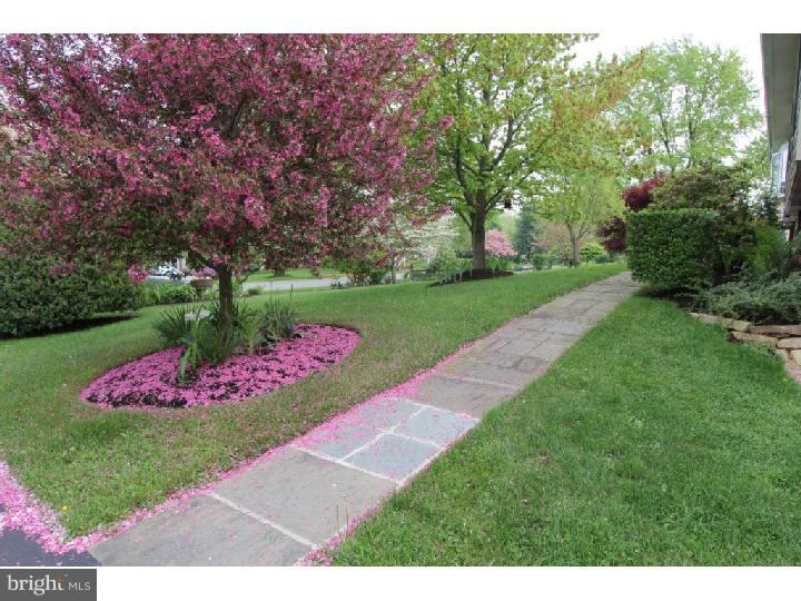 1363 Ridgeview Circle Downingtown, PA 19335 - Photo 5 of 24 Front Yard