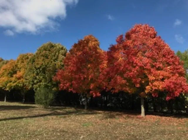 $625,000 | 405 Country Club Road, Arkansas City, KS 67005