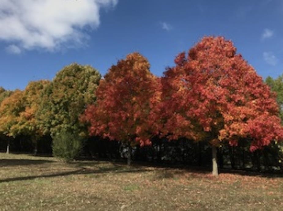 405 Country Club Road Arkansas City, KS 67005 - Photo 10 of 36