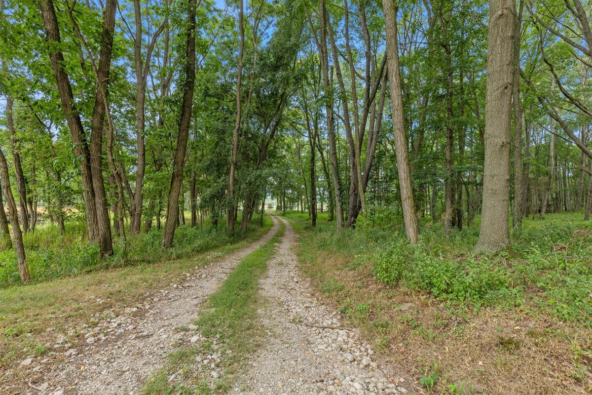 781 Hopkins Road Lyons, MI 48851 - Photo 18 of 99